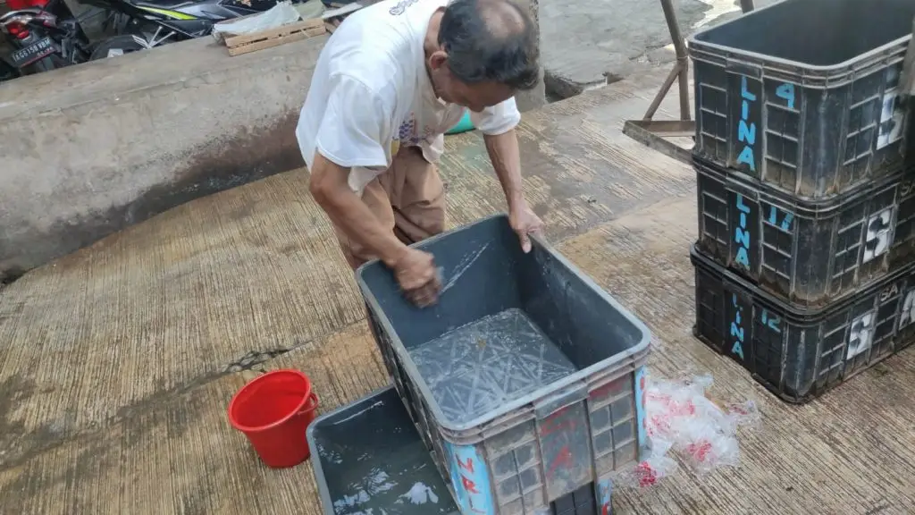 Kebersihan sebagian dari Iman